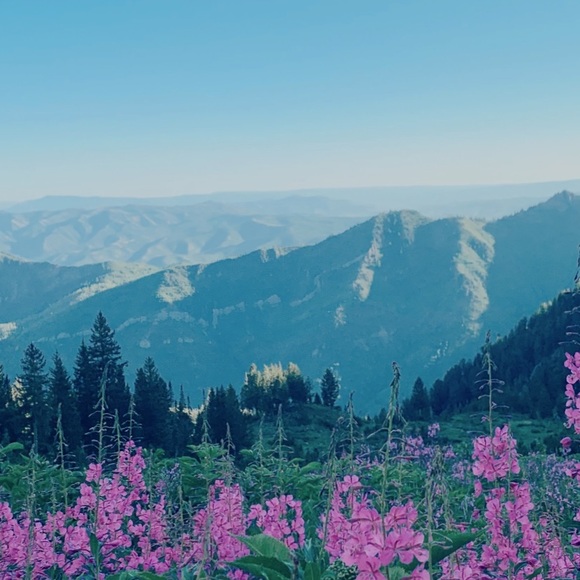 Meet your Posher, B - Picture 1 of 1